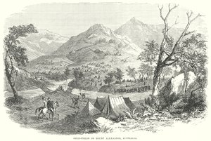 Gold-Fields of Mount Alexander, Australia by English School