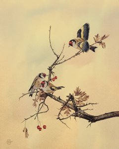 Goldfinches, c.1890