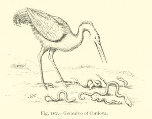 Gonsalvo of Cordova by English School