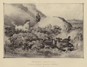 Grouse Shooting