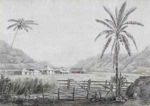 Halse Hall, Jamaica, c.1780 by English School