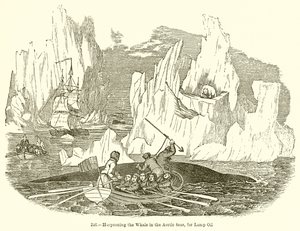 Harpooning the Whale in the Arctic Seas, for Lamp Oil by English School