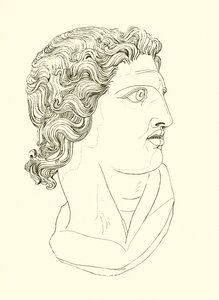 Head, Displaying Manly Vigour and Heroic Resolution by English School