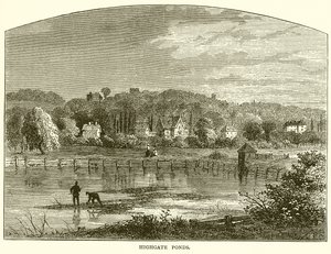 Highgate Ponds by English School