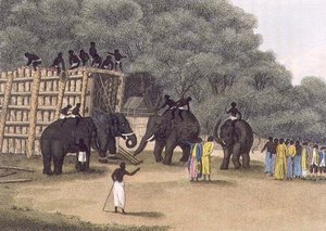 Hindoo Elephant Trap, Pub. by Edward Orme by English School