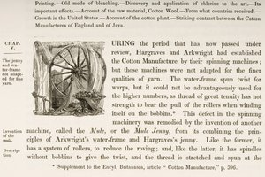 Historiated Initial D, from a Book on British Cotton Manufacturing by English School