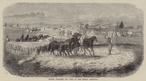 Horses Treading Out Corn in the Roman Campagna by English School