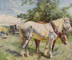 Horses Taking a Break from Work on a Farm by English School