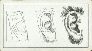 How to Sketch: The Ear by English School