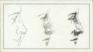 How to Sketch: The Nose by English School