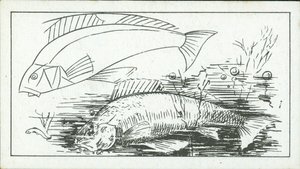 How to Sketch: The Perch by English School