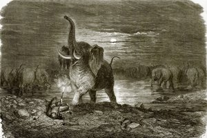 Hunter and Elephant by English School