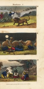 Hunting Lions in the Barbary States, Camels and Drivers Sleeping in the Desert, and Arabs Inviting Travellers to Dine by English School