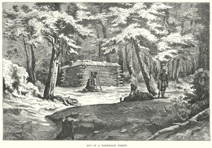 Hut in a Norwegian Forest by English School