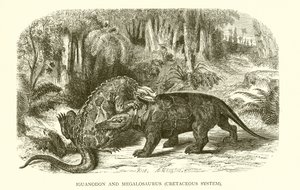 Iguanodon and Megalosaurus, Cretaceous System by English School