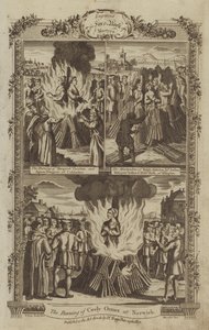 Illustration for Fox