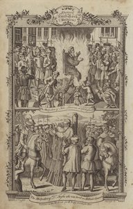 Illustration for Fox