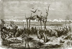Indian Sepulchre in the Long Grass Prairie, on the Saskatchewan River by English School