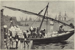 Indian sketches by English School