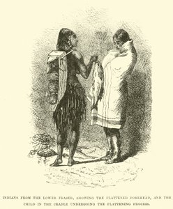 Indians from the Lower Fraser, showing the flattened forehead, and the child in the cradle undergoing the flattening process by English School