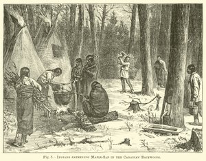Indians gathering Maple-Sap in the Canadian Backwoods by English School