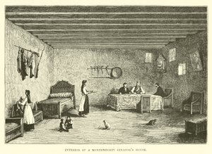 Interior of a Montenegrin Senator