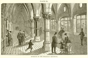 Interior of the Brighton Aquarium by English School