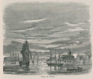 Isle of Dogs by English School