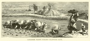 Japanese Paddy Fields, Planting Rice by English School