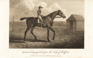 Jockey on the celebrated thoroughbred racer Mufti, belonging to his Grace the Duke of Bedford by English School