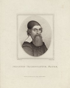 Johannes Tradescantus Pater by English School