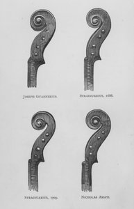 Joseph Guarnerius; Stradivarius by English School