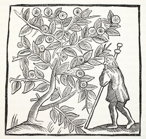 Joseph of Arimathea and the Glastonbury Thorn, illustration from Chap-books of the Eighteenth Century by John Ashton, pub. 1882 by English School