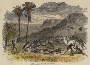 Kangaroo Hunt in Australia by English School