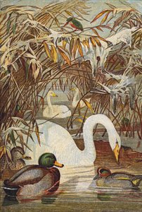 Kingfisher, ducks and swans by English School