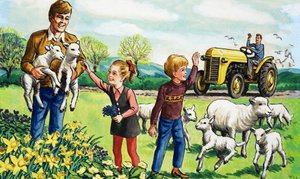 Lambs in the Spring