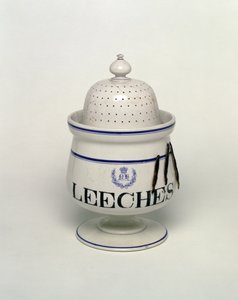 Leech jar by English School
