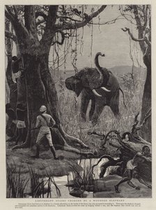 Lieutenant Stairs charged by a Wounded Elephant by English School