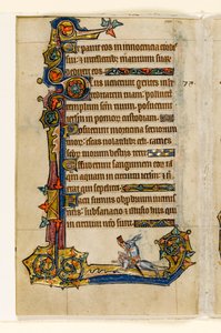 A Rabbit Riding a Hound, Hunting, Marginal Decoration from the Macclesfield Psalter, Use of Sarum, East Anglia (c.1330) by English School