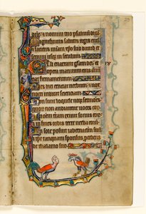Two Bird-like Grotesques, Marginal Decoration from the Macclesfield Psalter, Use of Sarum, East Anglia (c.1330)