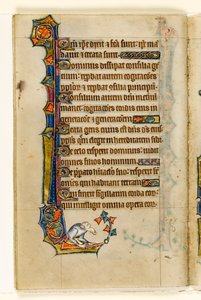 A Grotesque, Marginal Decoration from the Macclesfield Psalter, Use of Sarum, East Anglia (c.1330) by English School