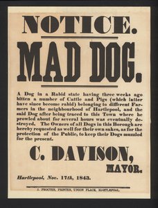 Mad dog notice, Hartlepool, 1843 by English School