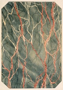 Marbling Effects: Page from a Victorian Pattern Book