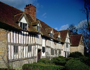 Mary Arden