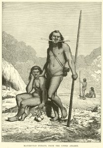 Mayorunas Indians, from the Upper Amazon by English School