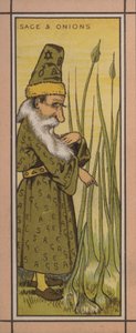 Menu illustration: Sage and onions by English School