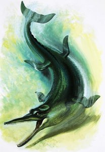 Metriorhynchus by English School