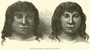 Miranhas Indians, from the Rio Negro by English School