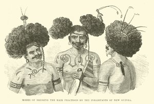 Modes of Dressing the Hair Practised by the Inhabitants of New Guinea by English School