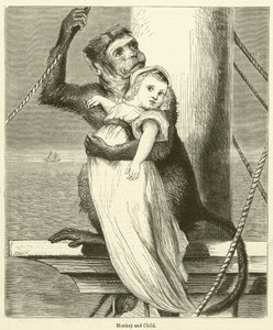 Monkey and Child